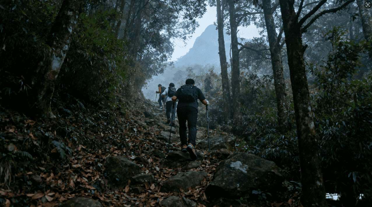 如何选择安全稳定的免费PC翻墙VPN软件以保障上网安全